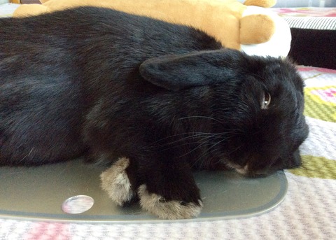 D703ED38-347F-42C4-9C8C-0E8BE7067282