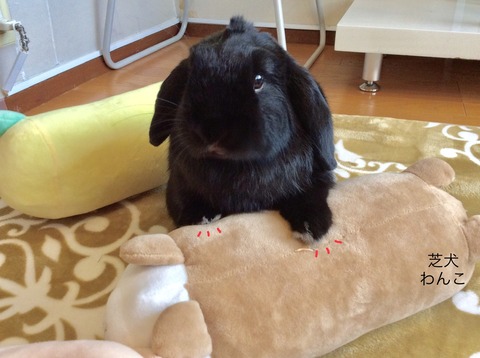 2D7FFABB-23D1-4B5E-A009-C85318061E4D