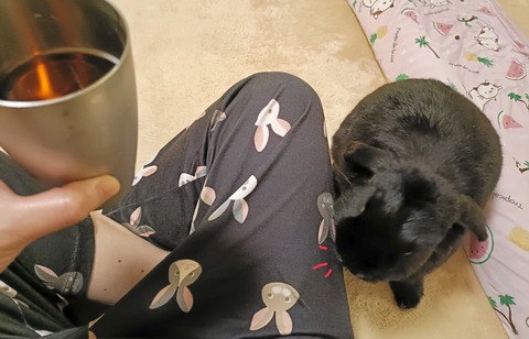 5F0F1350-494B-4A7F-AF7F-2CCA65F8E70F