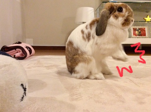 7B45E564-DDF5-4978-B511-6D1519D38486