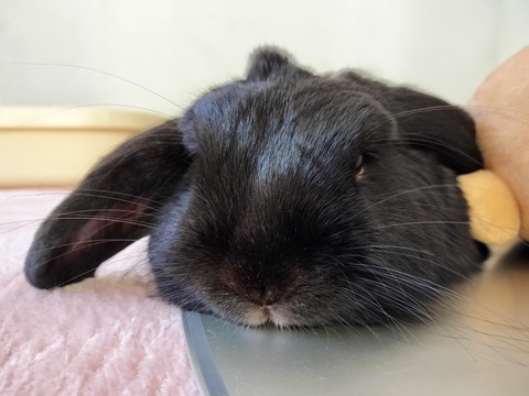 87B61135-980B-4E99-82C6-2F893BBDCE80