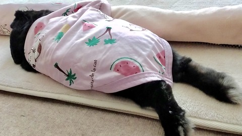 D1052A3B-5A89-4ACB-A0DA-8E9E8C5EB60D