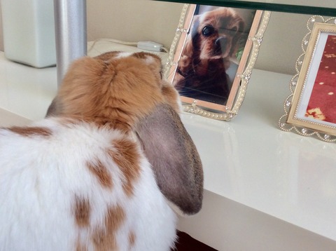 A1D16F5B-0BED-4E06-BD87-8C1E9D0C53DE