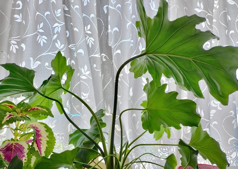 C8D5B74D-4566-4FC7-96AD-887036E56619