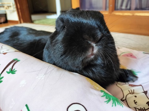 6F4E37A0-6032-4116-9228-F270B2517D8C