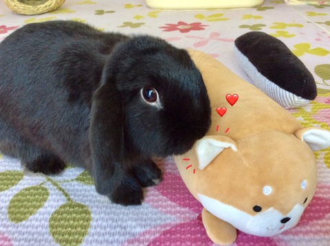 FDA5631F-84BD-4073-9D4E-9D77834EC296