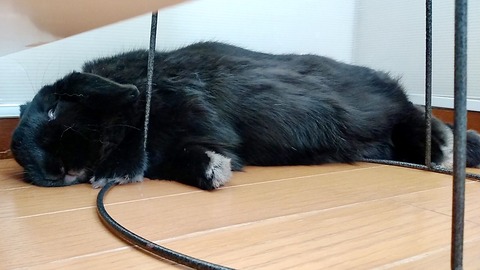 1A3555CC-019E-4551-B5D6-2236C5037BED