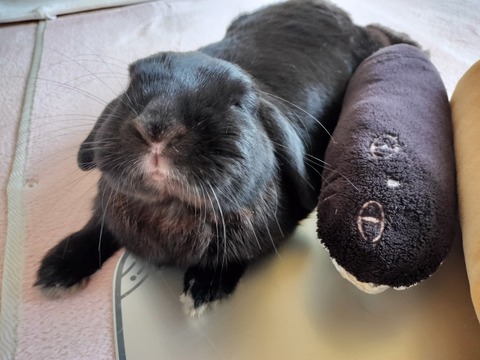 1BD1C4ED-04E0-4CC2-AB7E-2FBC31DF5B2F