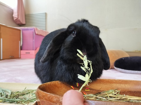 7BE5F8D1-612E-45E3-B131-FA65A3470106