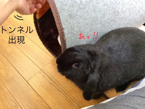 313CDF9E-C511-4AE9-BA73-06BE3C8AAA68