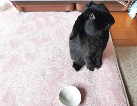 2E91B726-5765-4AF8-BCE2-04B947D14E0E