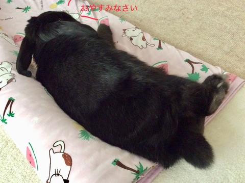 9E661CC5-30B8-44A1-AEC2-340DA0F8066A