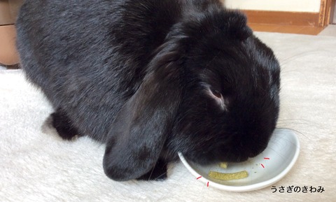 BF83351D-82B5-4597-BFDF-CD72F9DBC9EF