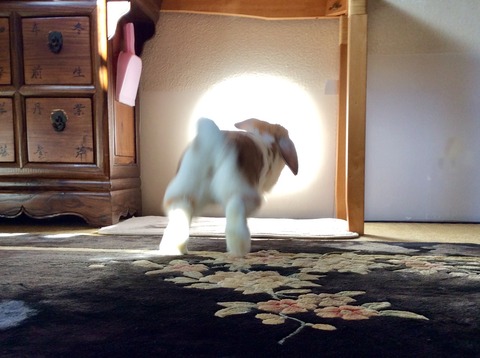 CAFAA0D8-D80C-41EF-9166-2C3CC366C794