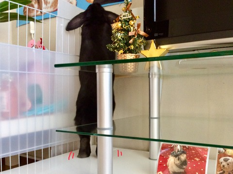 2745FC4E-37EF-443F-8DE6-16254959023B