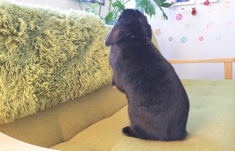 3B2238A7-A1DC-40C2-9931-BCF5F6A83AD8