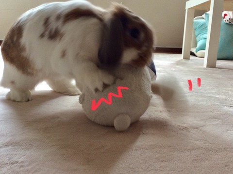 C43C1D84-D42A-4279-B850-4491F8124CB1