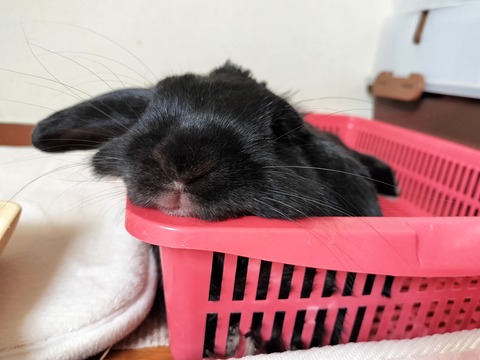 2BE75534-A13B-42FD-9C4A-D6174452D667