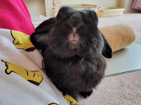 93C77B6C-8D41-4655-8A0B-23AA22427756