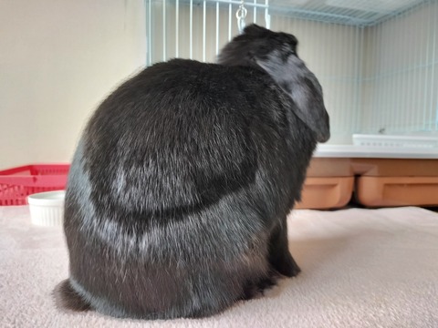 83670980-DBA8-4088-8EA2-8D1BAD26A6F1