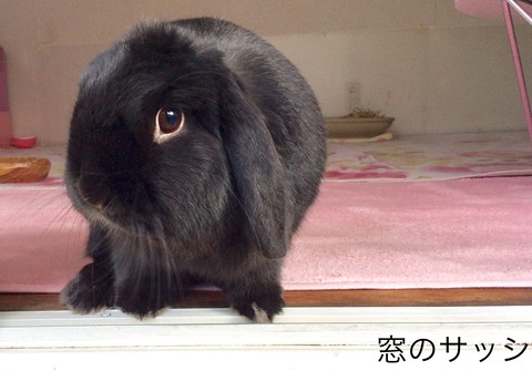 98E55B51-D64D-424D-BCCC-82C3687A7A77