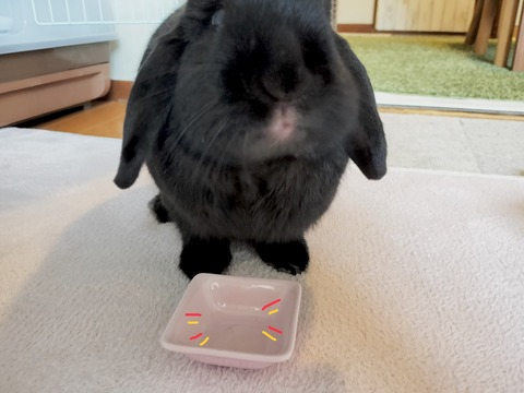 D165D7AC-4F5F-458A-908A-5A35050D6086