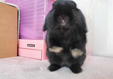 6573D471-240B-481F-9372-6A8B3B2D276D