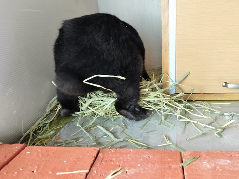 0556FB94-84B6-437F-A38E-F5A7EE260351