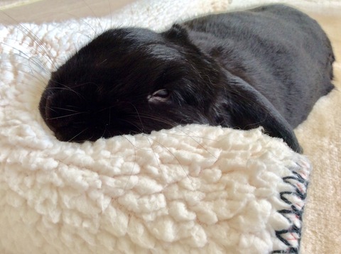 9AC8BFEC-B15B-4FAA-A8C2-7E16EBE5673B