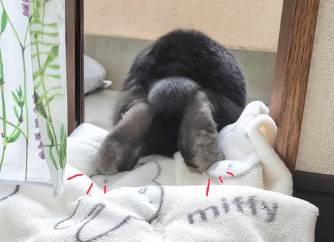 77F0F4D6-CF3D-4460-9582-81B2BF041498