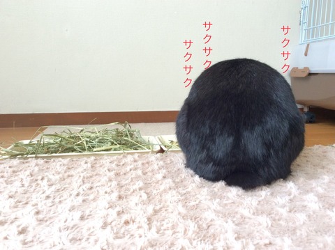 542B1648-7AAB-495A-8BF5-803EB2329954