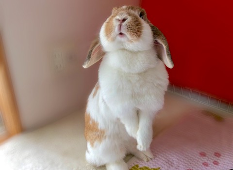 C65B42D0-497C-4970-A4D8-D6DFCEA03B92