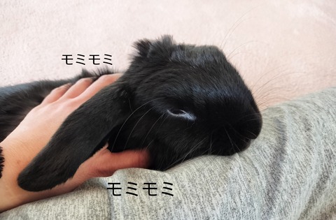 A9517E80-6100-4909-8128-1FA5102489AB