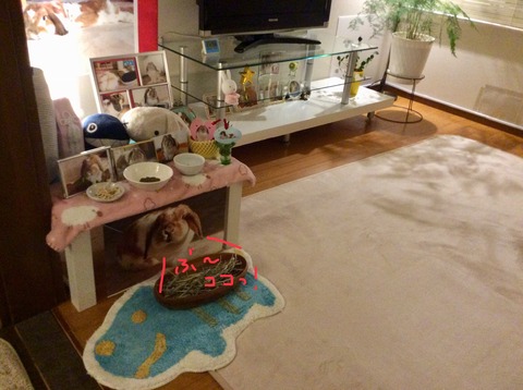 1A89E563-78E5-48F6-ADE2-74202875D82F