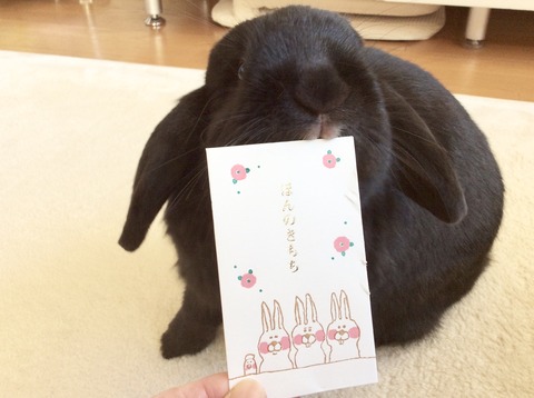 E39DC373-E445-44D7-866A-D205F29EEF0C