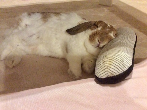 55FA95B9-6847-4692-819F-8837D1A24758