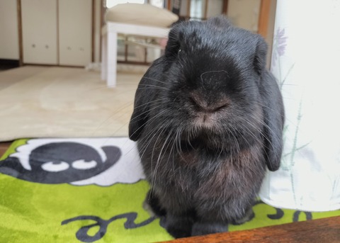 724B5B9D-BB39-44F6-95FA-75634399D35C