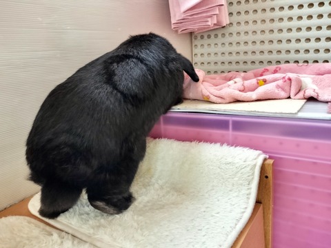 C92E6E19-B21E-4734-BFC6-10105AB577FA