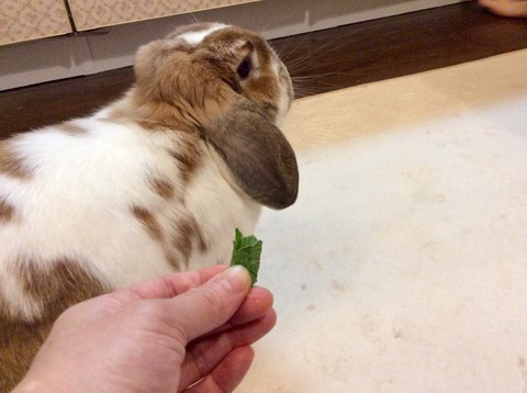 BCA22411-963F-48F7-9795-81B473E75F5B