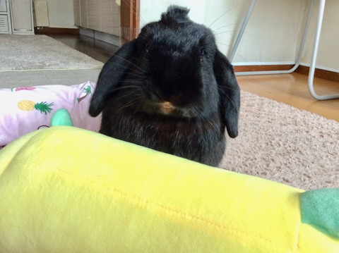 0ADBDF69-76FF-43D7-AE27-09BA1BA59AA9