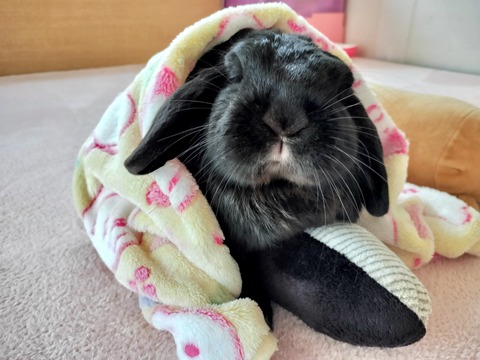 BC1A04D6-9158-419E-A542-7F2FD766CEF8