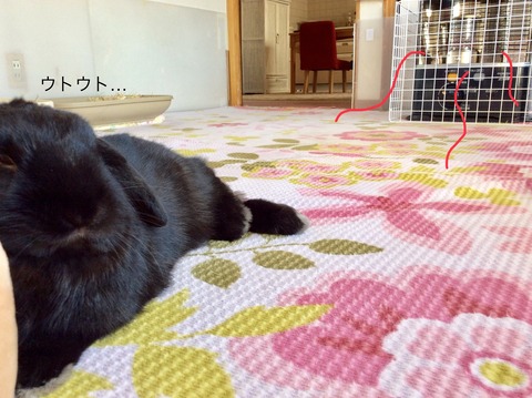 77CCB2A7-FE0A-4A75-B3AA-C12932E0D413