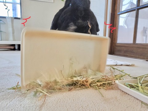 5438CB14-9D9D-4551-82CF-A39D0D8BB06C