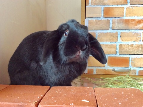 3F51FE8F-A879-4B7A-B925-CA68C05919F3