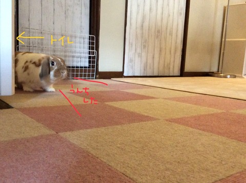 BBCA5268-2ABC-47CD-9939-86544AC15E1E