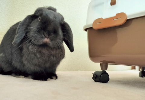 EB0DB894-E594-4CA1-A9E4-17D7CE08AC9C