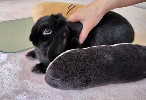 9ADB5A07-C77E-4198-AFE2-C214B3CB6CEC