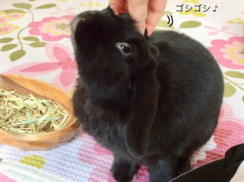 88D50C5F-3302-4C33-B33B-1C75870A5889