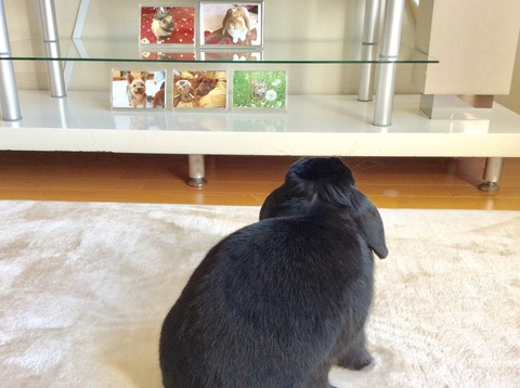 91E77CA5-C82B-4C0F-9EA1-7BEEEAE089C7