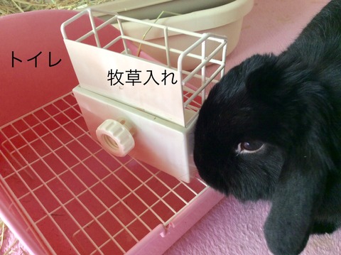 A5CFD8DD-8B45-4536-A889-0A9AF6B5B089